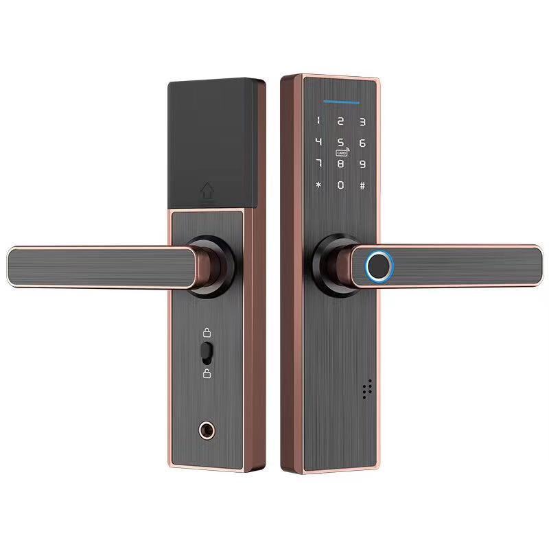 Electronic Smart Door Lock