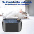 3L Pet Water Dispenser